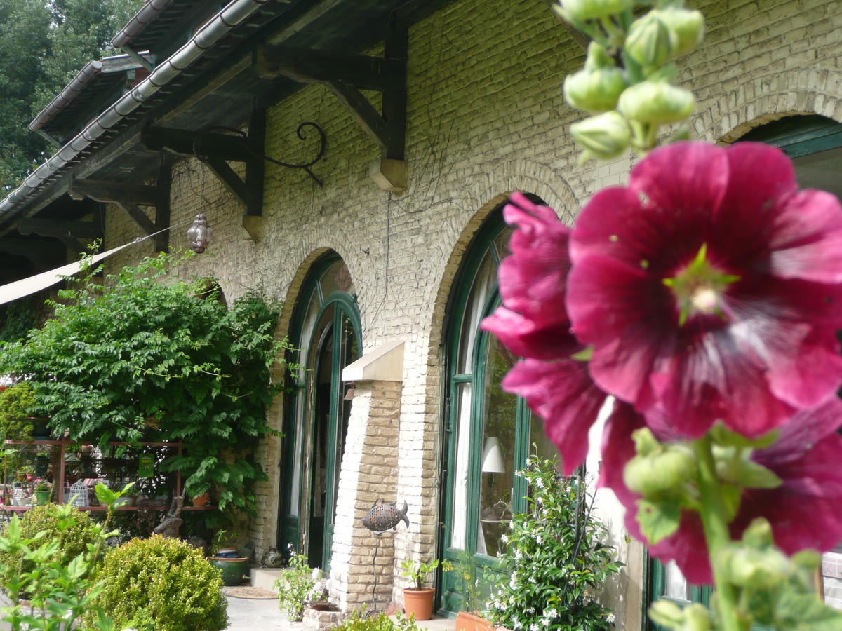 مبيت وإفطار Manoir De Bois En Ardres المظهر الخارجي الصورة
