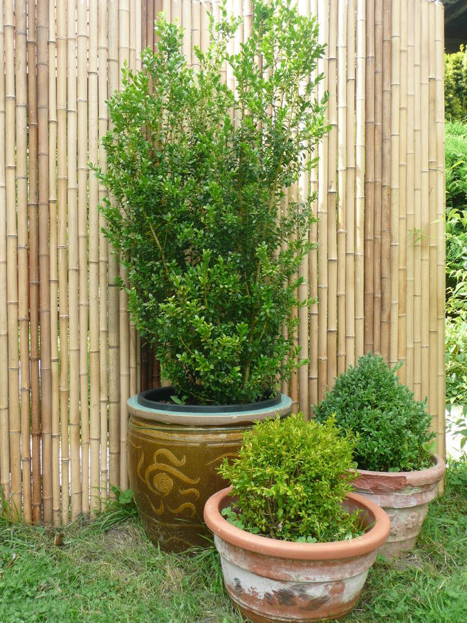 مبيت وإفطار Manoir De Bois En Ardres المظهر الخارجي الصورة